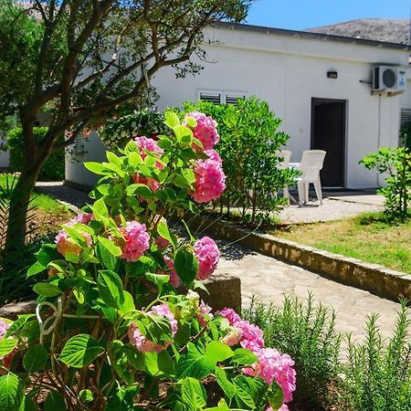 Apartmant Prosika Pag Town Esterno foto